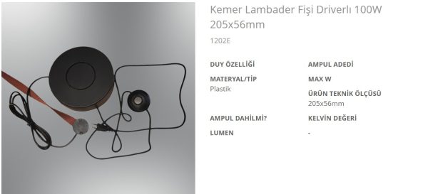 Özcan 1202E Kemer Lambader Fişi Driverlı 100W 205x56mm Manyetik Ray Güç Besleme Seti Özcan 1202E Kemer Lambader Fişi Driverlı 100W 205x56mm Manyetik Ray Güç Besleme Seti