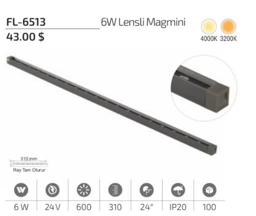 WhatsApp Image 2026-05-04 at 09.36.48 Forlife FL-6513 6W 3200K Lensli Magmini 310mm Magnet LED Aydınlatma Armatürü